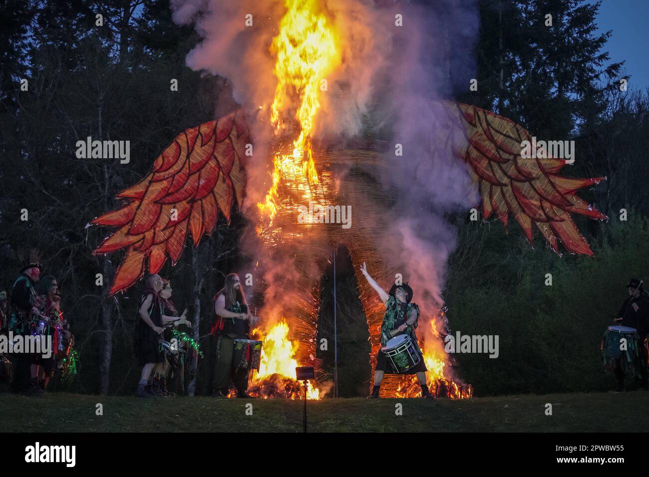 Hampshire, UK. 29th April 2023. Celtic Fire Festival Burning the