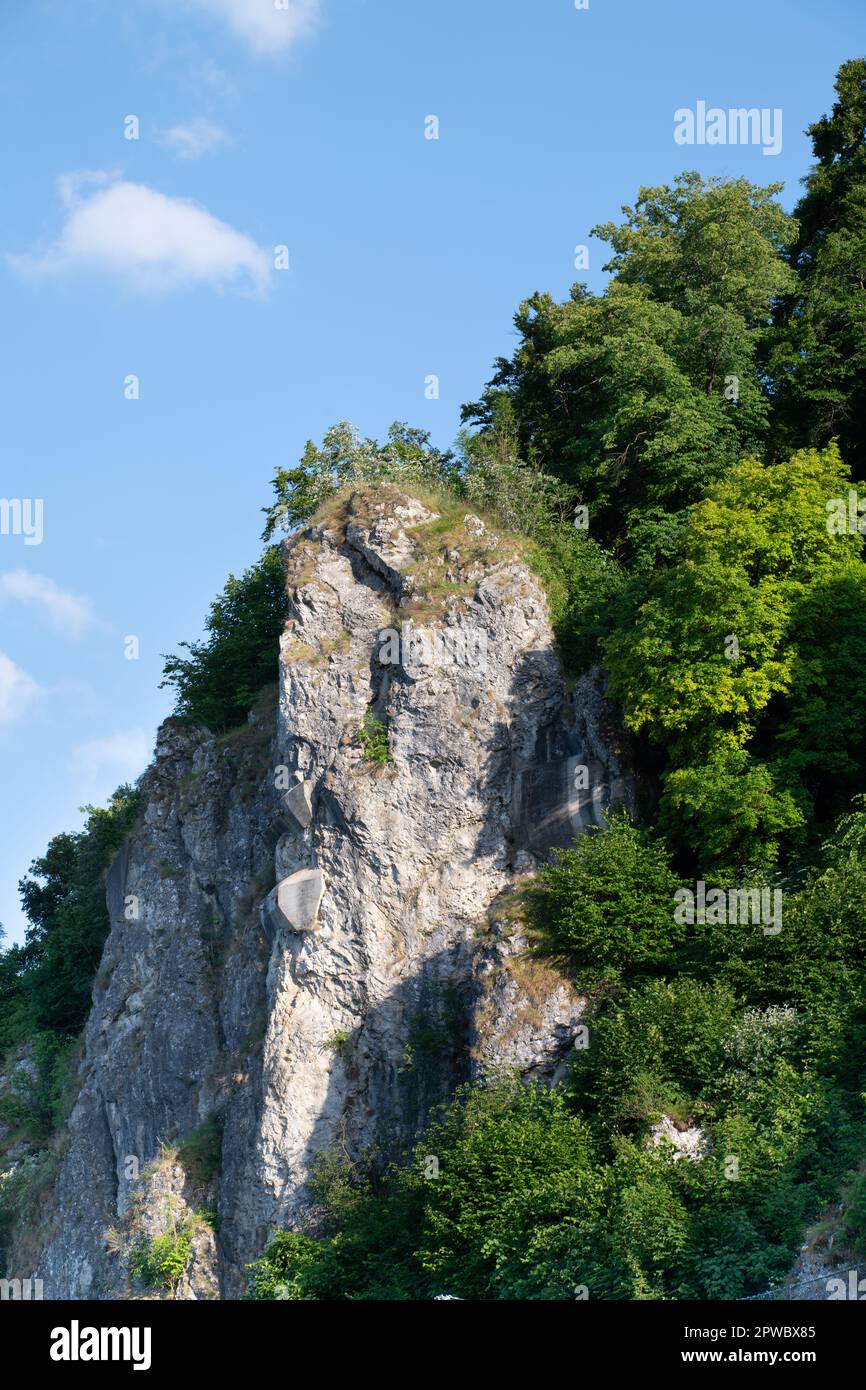 Close up of a large rock towering high against the blue sky. The background sky is blue. Trees and other green plants grow sideways on the rock. Stock Photo