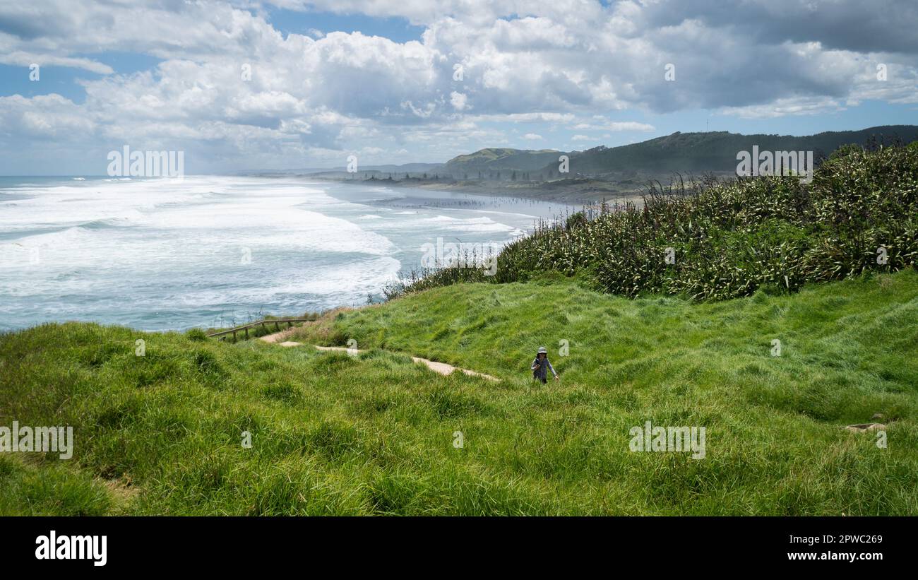 Panorama view of Muriwai beach, woman walking on green hillside towards Gannet Colony. Auckland. Stock Photo