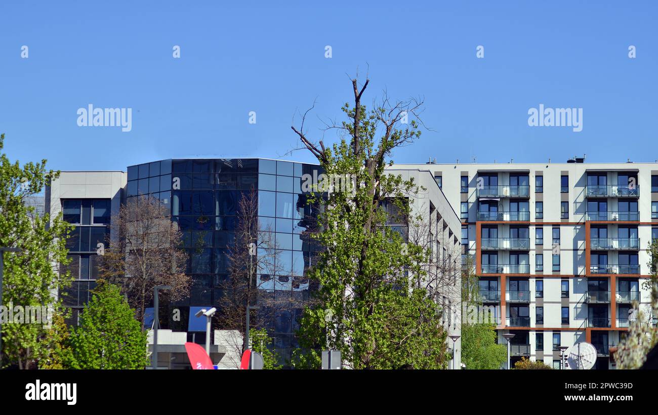 Penthouse Apartments: Everything You Need to Know - Ecological Penthouse Apartment