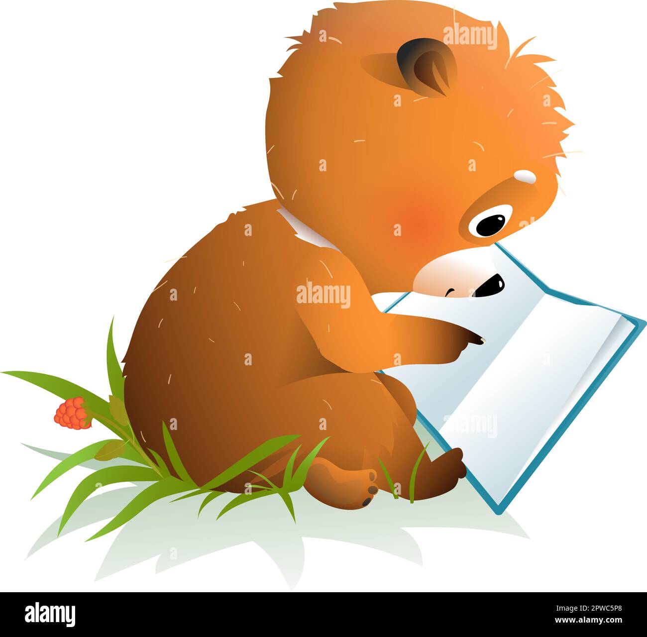Teddy Bear Reading a Book or Learning in Forest Stock Vector