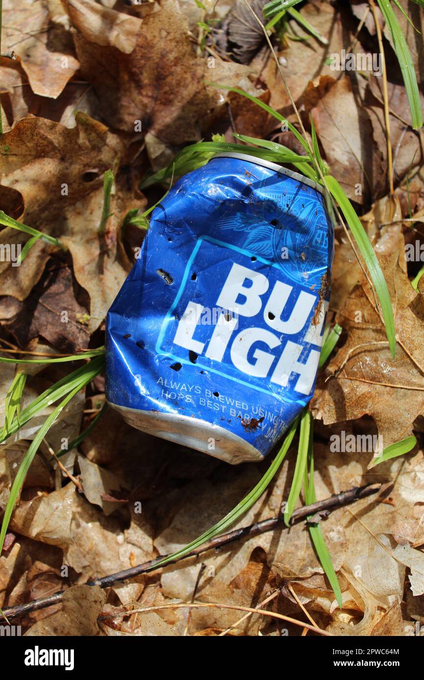 Dented Bud Light beer can with bullet holes from a pellet gun at Camp Ground Road Woods in Des Plaines, Illinois Stock Photo