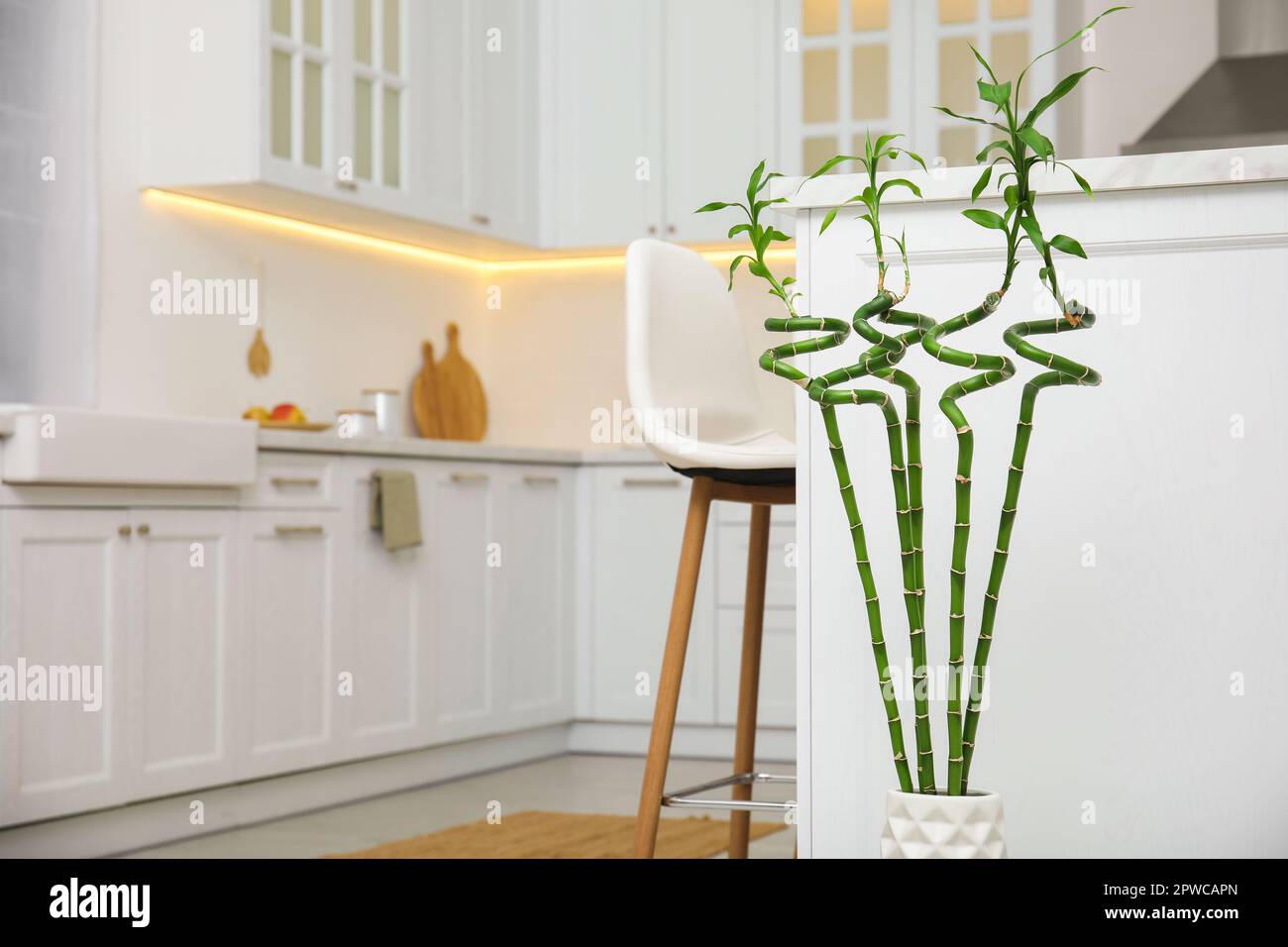 Lucky bamboo in a kitchen hi-res stock photography and images - Alamy