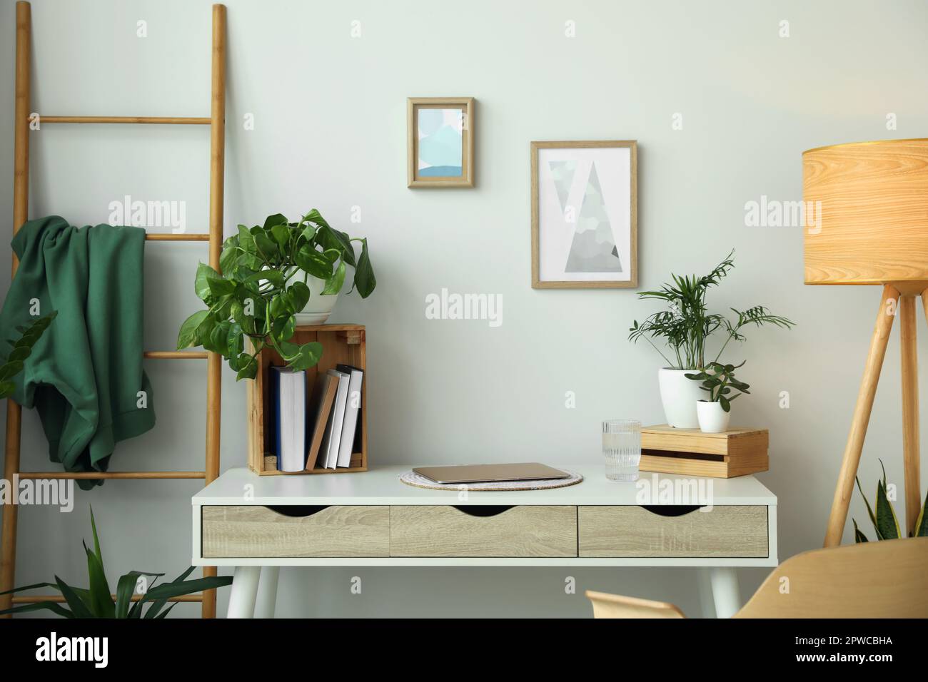 Home office interior with different beautiful houseplants Stock Photo