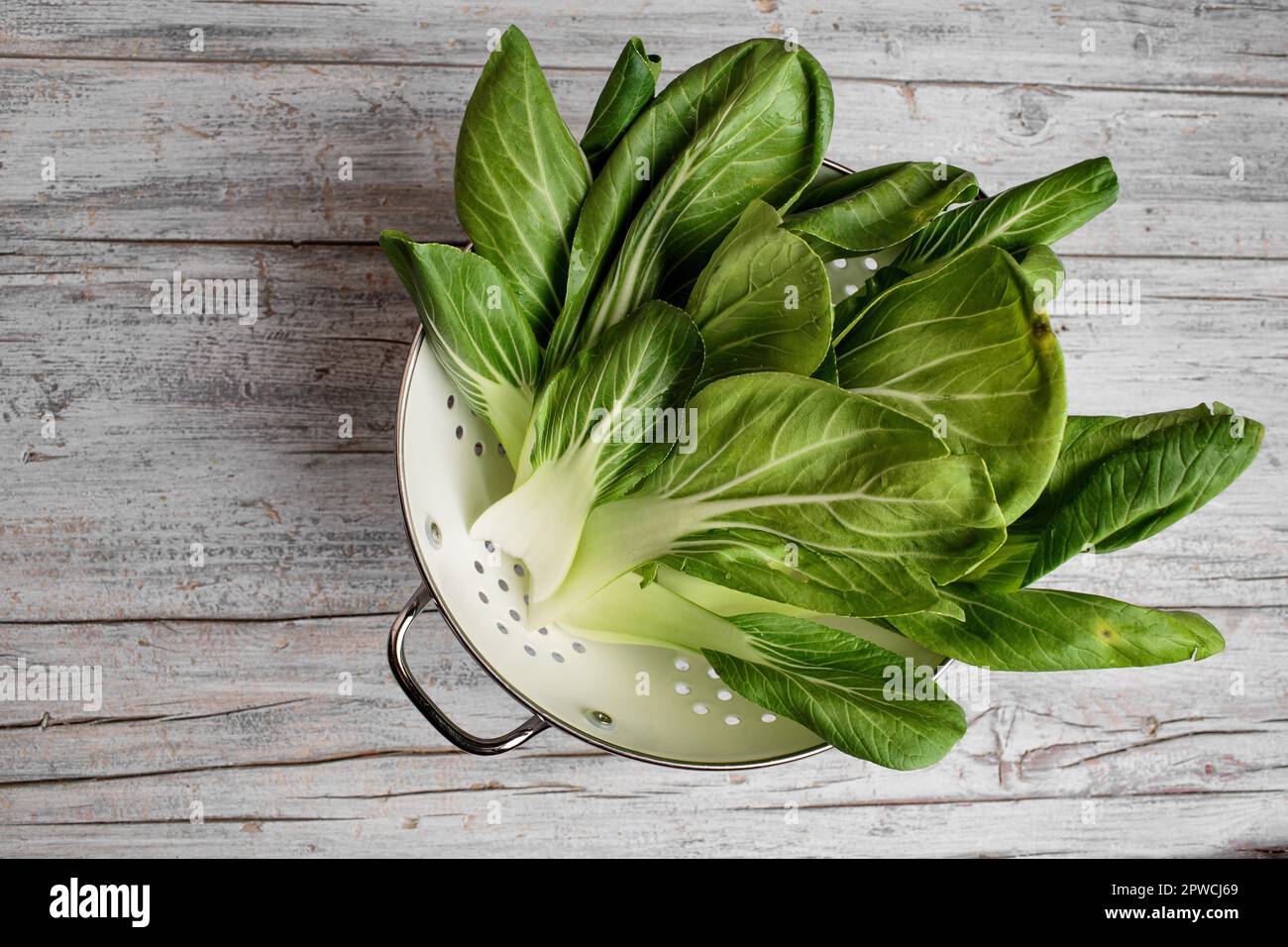 Freshly washed leaves of pak choi, Chinese mustard cabbage Stock Photo