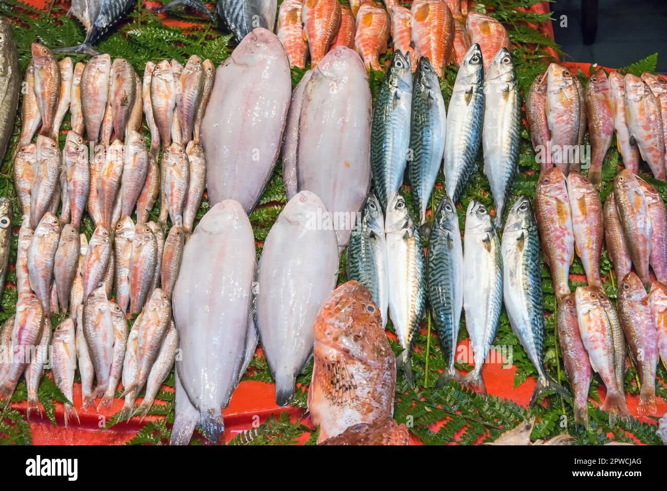 Fish istanbul hi-res stock photography and images - Alamy