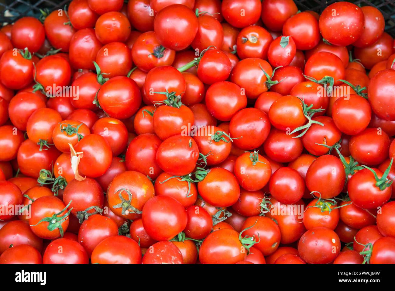 A mountain of tomatoes for sale at a market Stock Photo Alamy