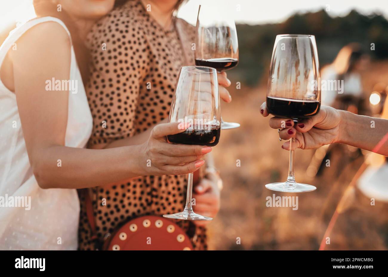 Crop anonymous female friends toasting with glasses of red wine during outdoor party in summer evening in countryside Stock Photo