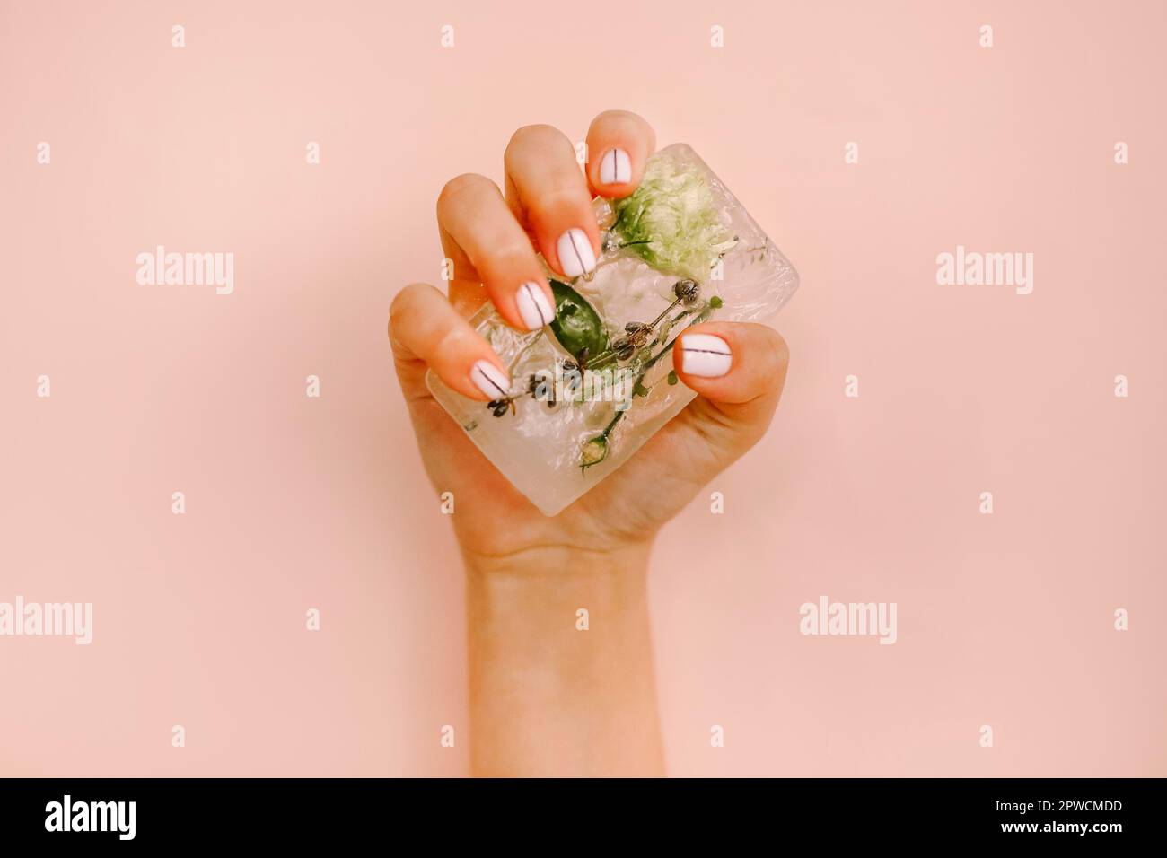 Unrecognizable crop female with pile of ice cube with herbs for beauty treatment in studio Stock Photo