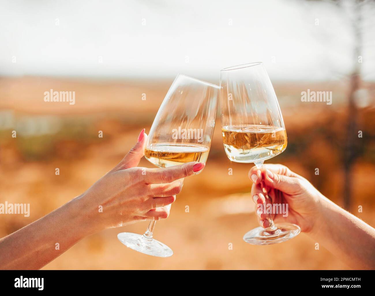 Crop anonymous female friends toasting with glasses of red wine during outdoor party in summer evening in countryside Stock Photo