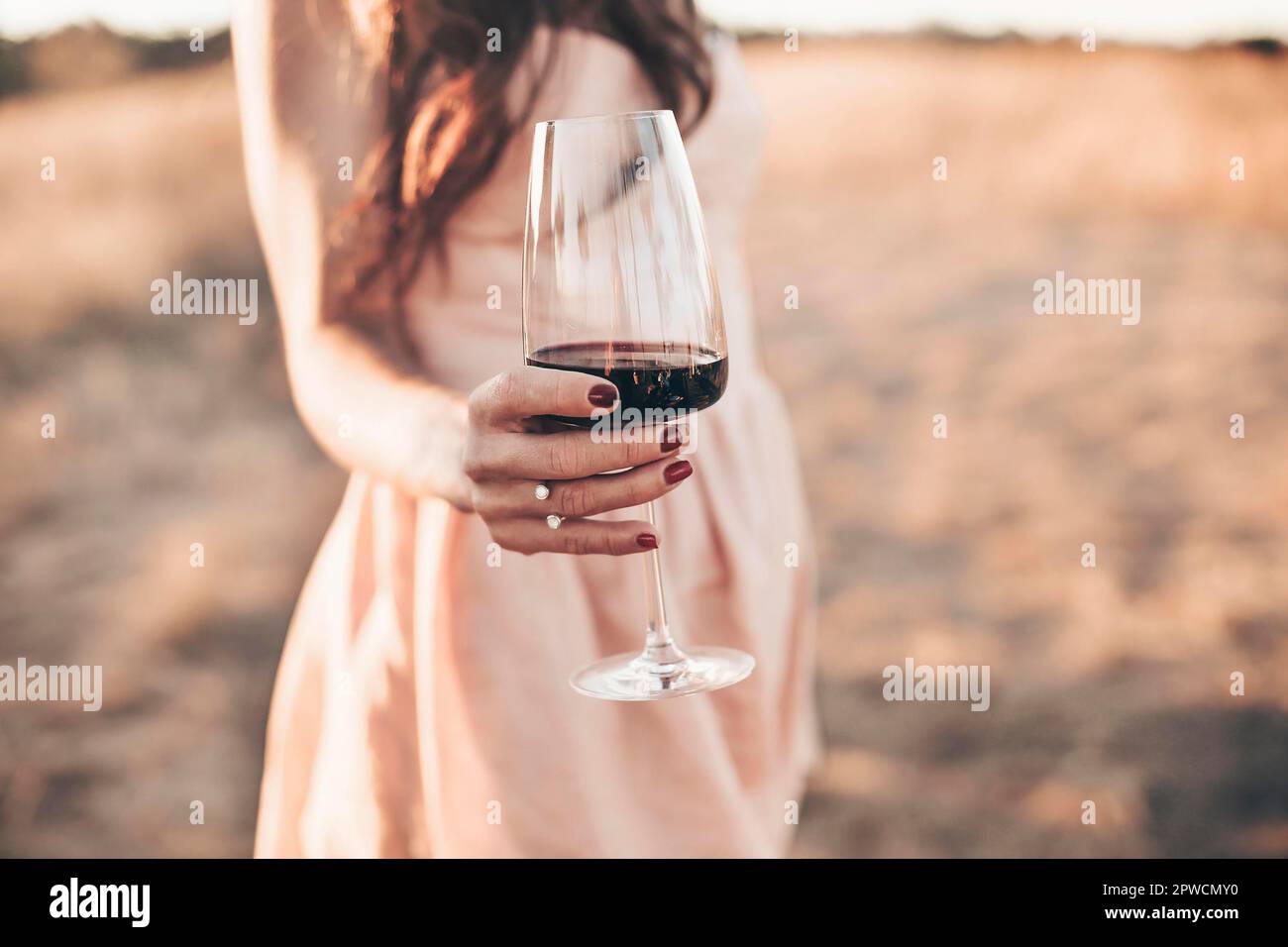 Crop anonymous female toasting with glasses of red wine during outdoor party in summer evening in countryside Stock Photo