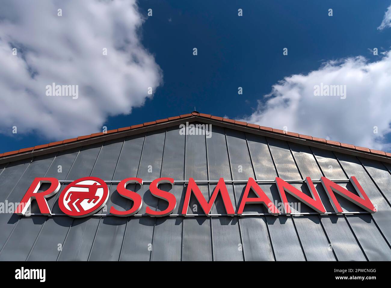 Rossmann Logo, Real Company