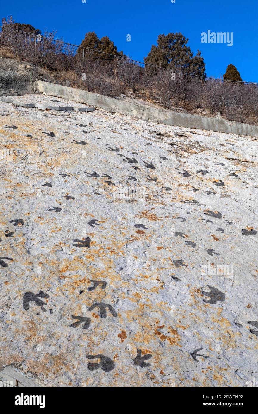 Morrison, Colorado, Dinosaur Ridge. Visitors can see hundreds of dinosaur footprints along the