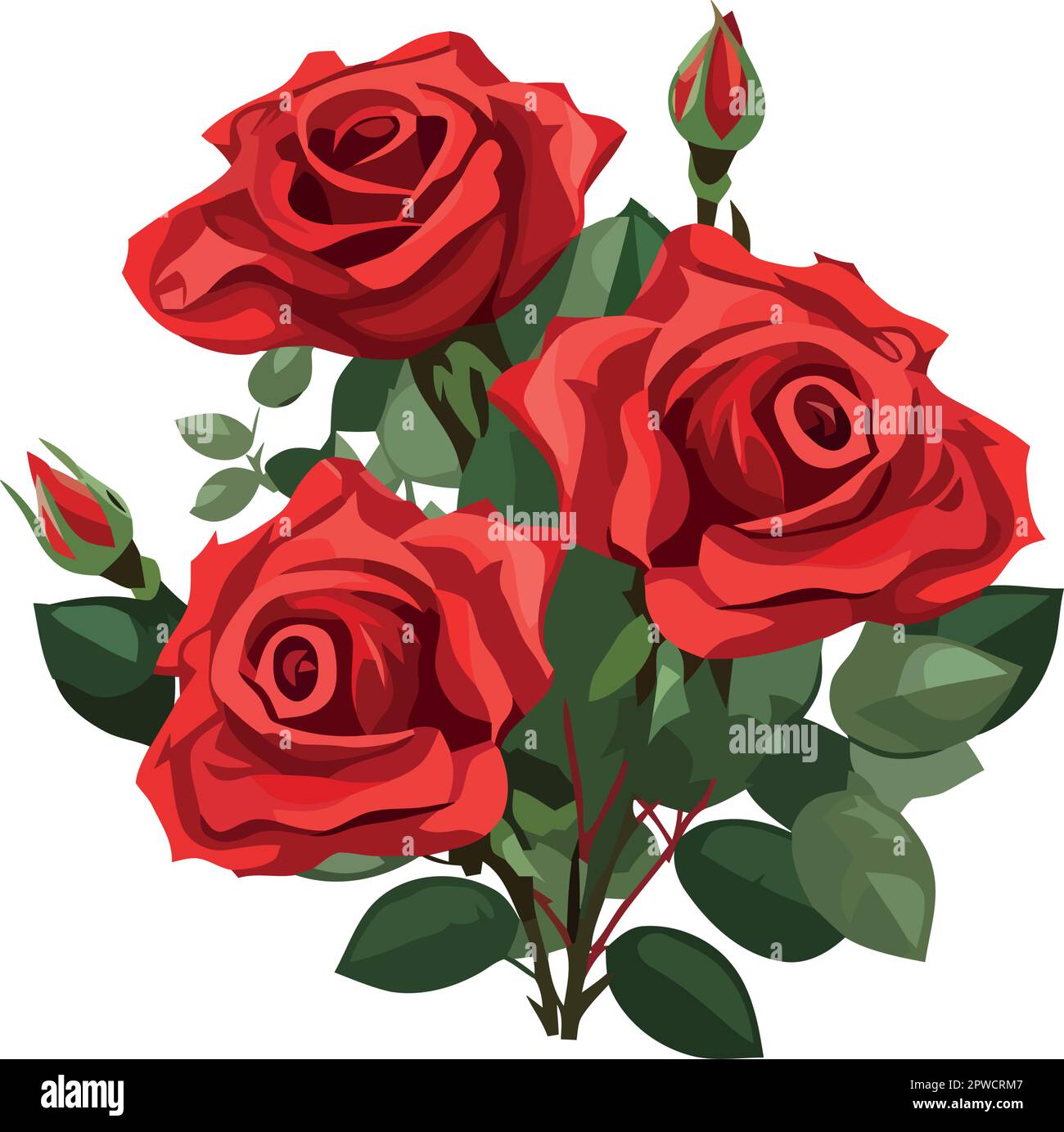 red rose flower ribbon decoration delicate vector illustration sketch image  Stock Vector