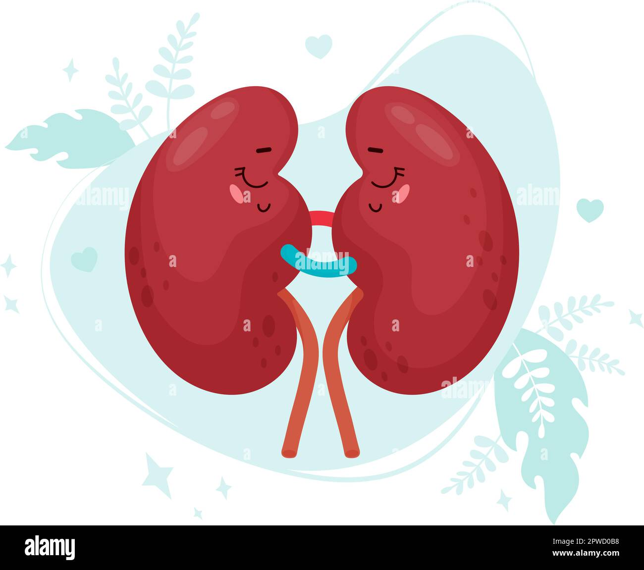 Cute cartoon pair of kidneys. Funny human organ. Vector flat cartoon ...