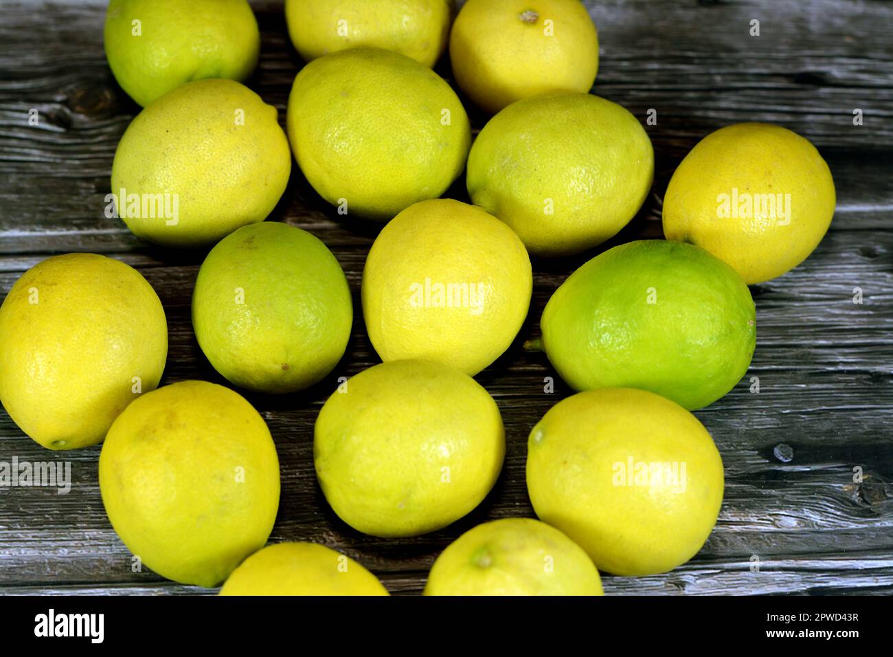 Pile of fresh lemons, The lemon (Citrus limon) is a species of small evergreen trees in the flowering plant family Rutaceae, native to Asia, used in r Stock Photo