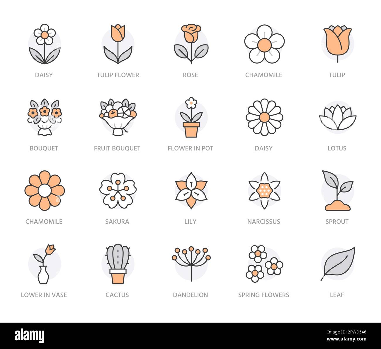 Flower line icon set. Rose, tulip in vase, fruit bouquet, spring blossom, cactus minimal vector illustration Simple outline signs for flowers delivery Stock Vector