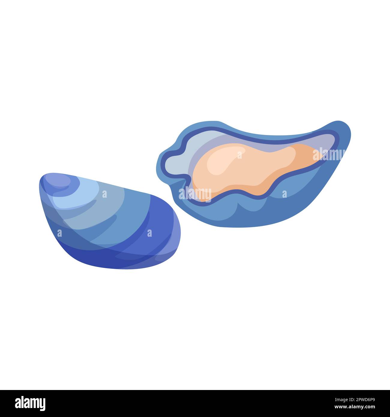 Vitamin b12enriched clam cartoon illustration Stock Vector Image & Art Alamy