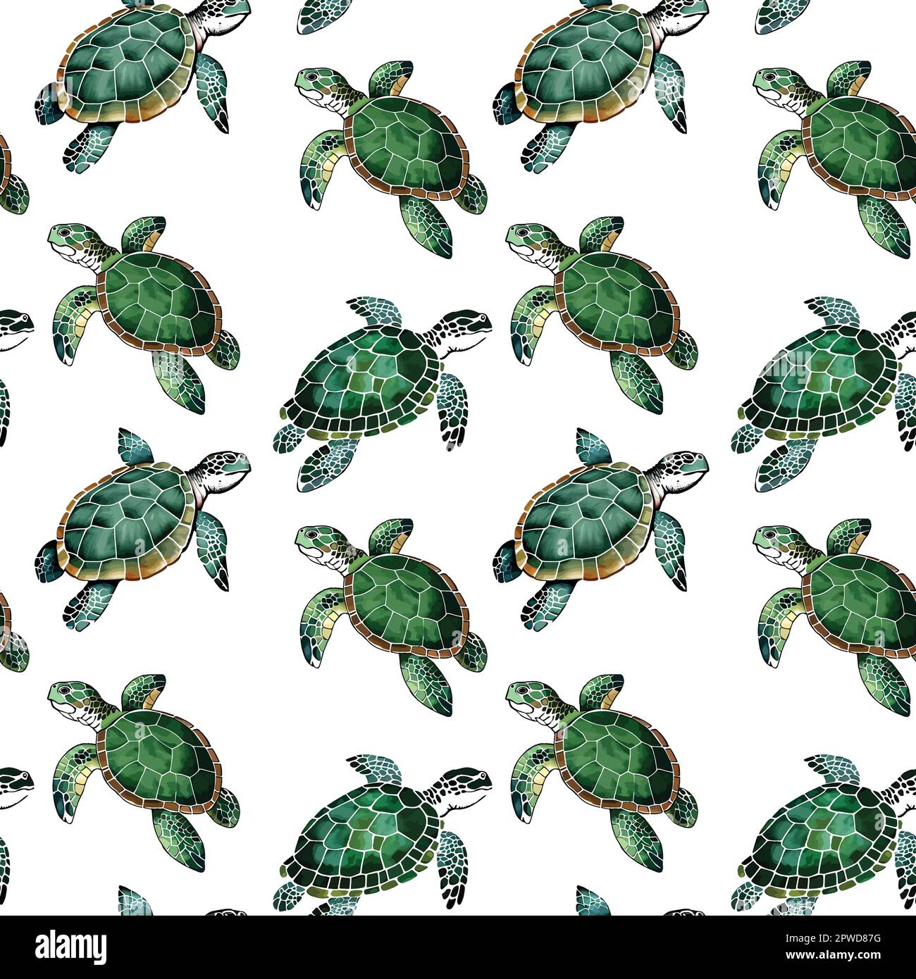 Watercolor turtle hi-res stock photography and images - Alamy