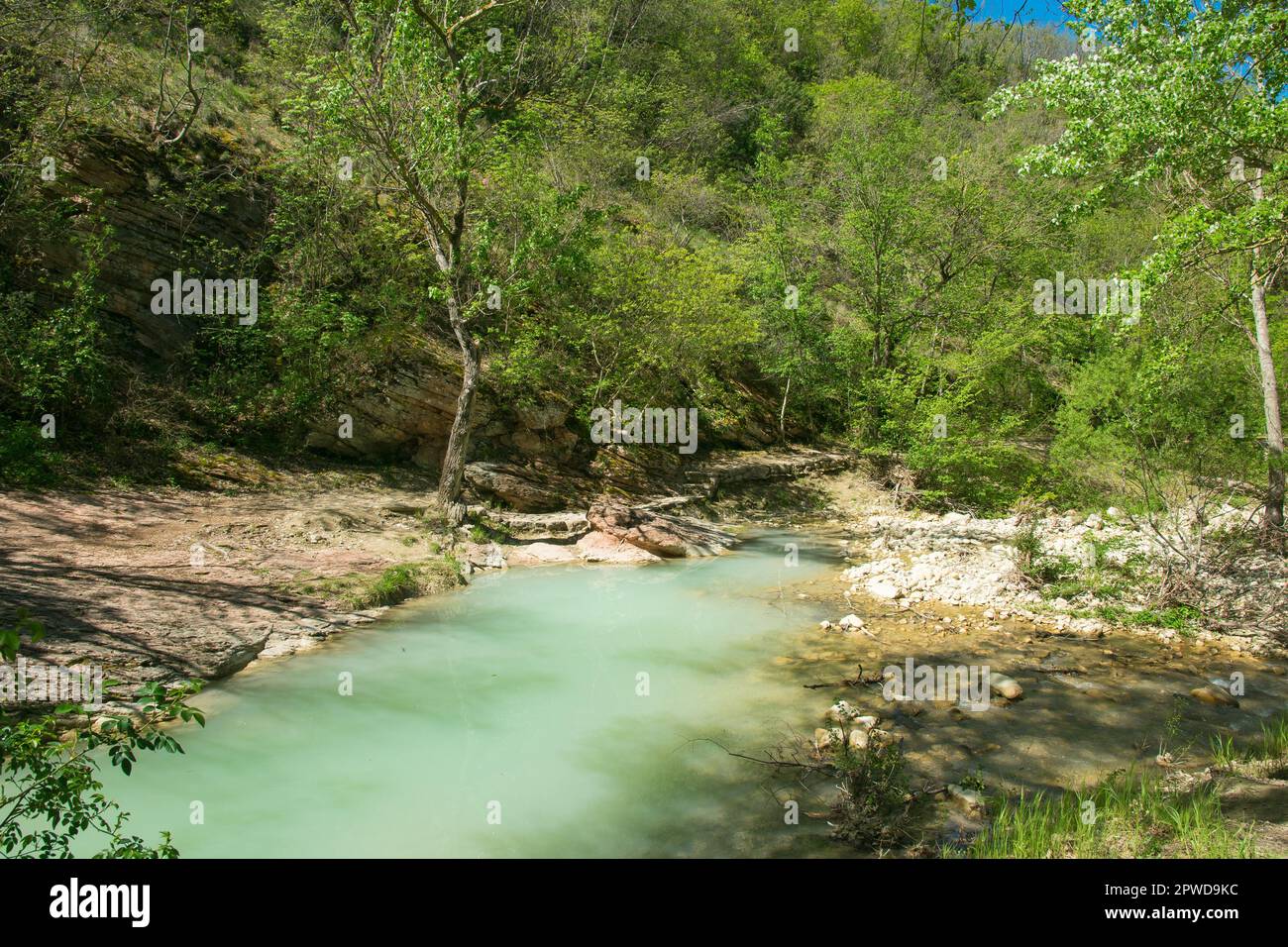 View of the famous wood of Saint Francis in Assisi during spring season ...