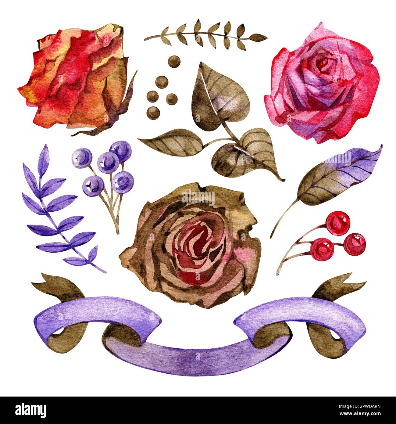 Chocolate rose floral elements watercolor design gres, banners, headers ...