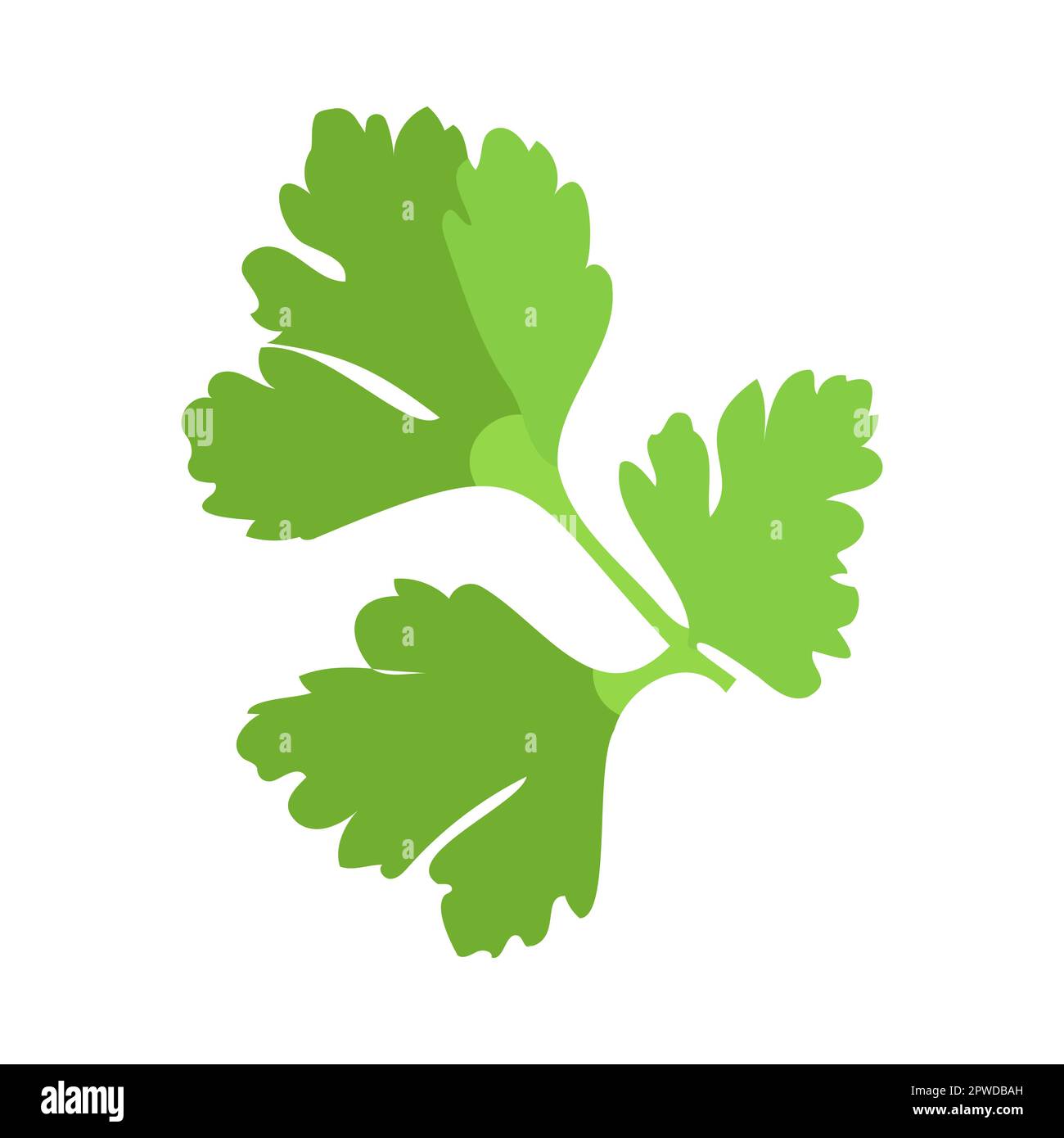 Vitamin Aenriched green parsley leaves cartoon illustration Stock