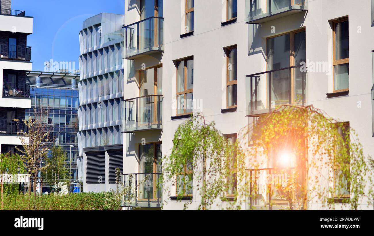 Picture of How to decorate an ecological apartment | Balfin Real Estate