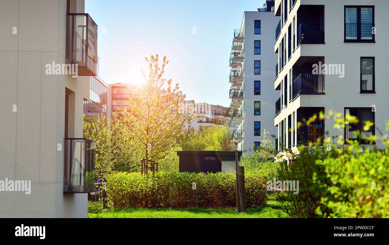 Picture of Organic modern apartment Makeover - The Sorry Girls