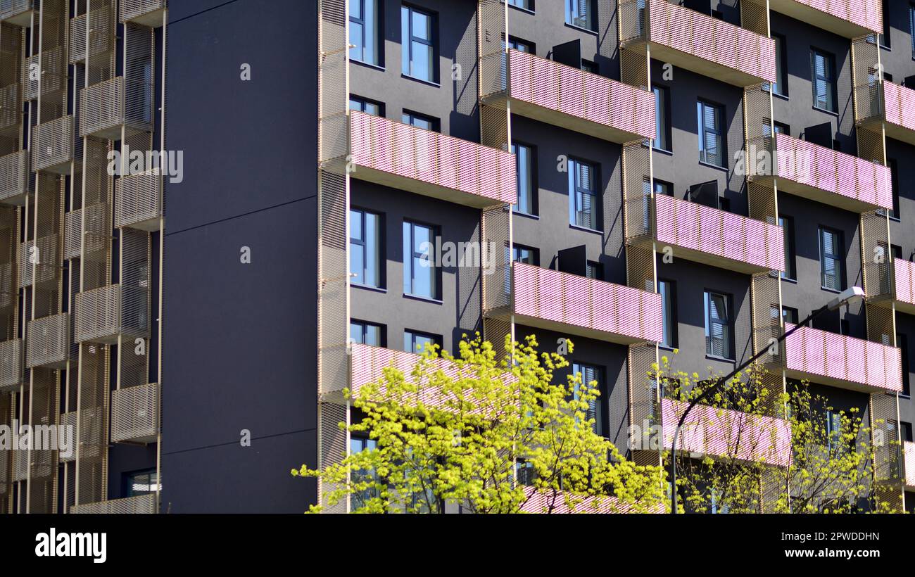 Picture of City life: Why are green spaces important? - Natural History Museum