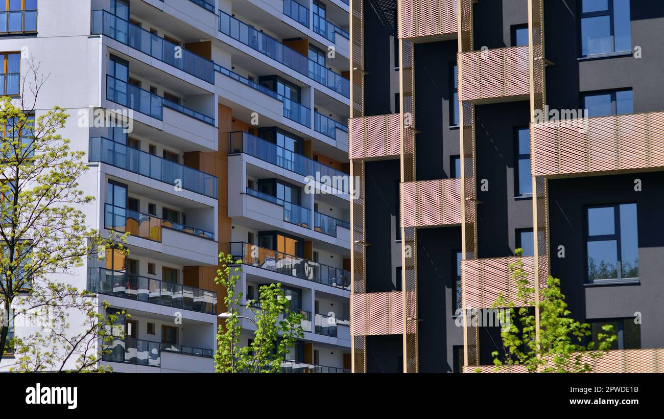 Illustration of Ecological Apartment Makeover