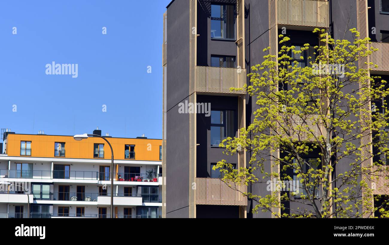 Stunning Apartment Renovation For Urban Ecology image