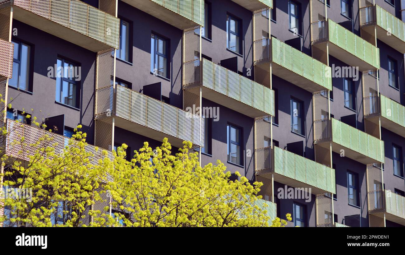 Image showcasing Eco-Chic Apartment Makeover: Sustainable Design on a Budget