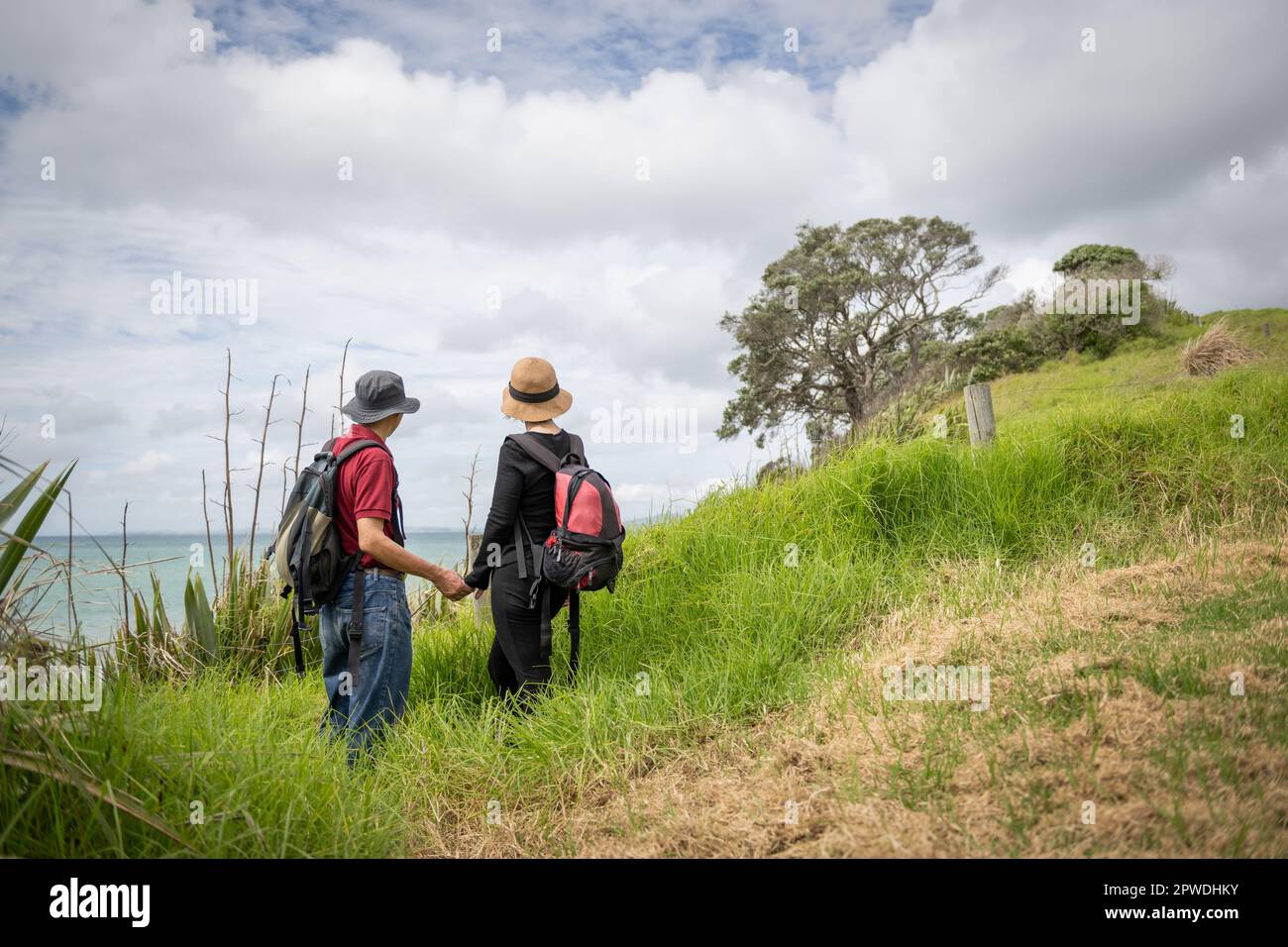 Couple holding hands, enjoying stunning views of Hauraki Gulf. Long Bay coastal walk. Auckland. Stock Photo