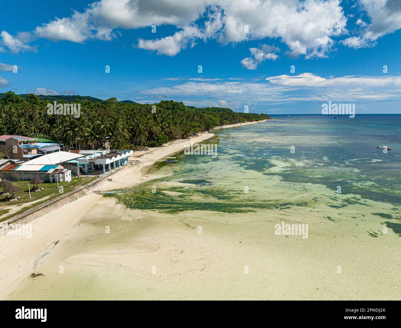White shiny seashore with turquoise lagoon of coral reefs along with the healthy coconut trees. Siquijor, Philippines. Stock Photo