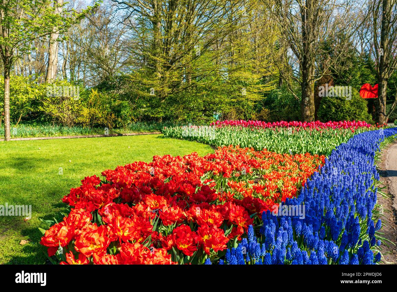 Beautiful Keukenhof Garden with blooming tulips, Holland Stock Photo ...