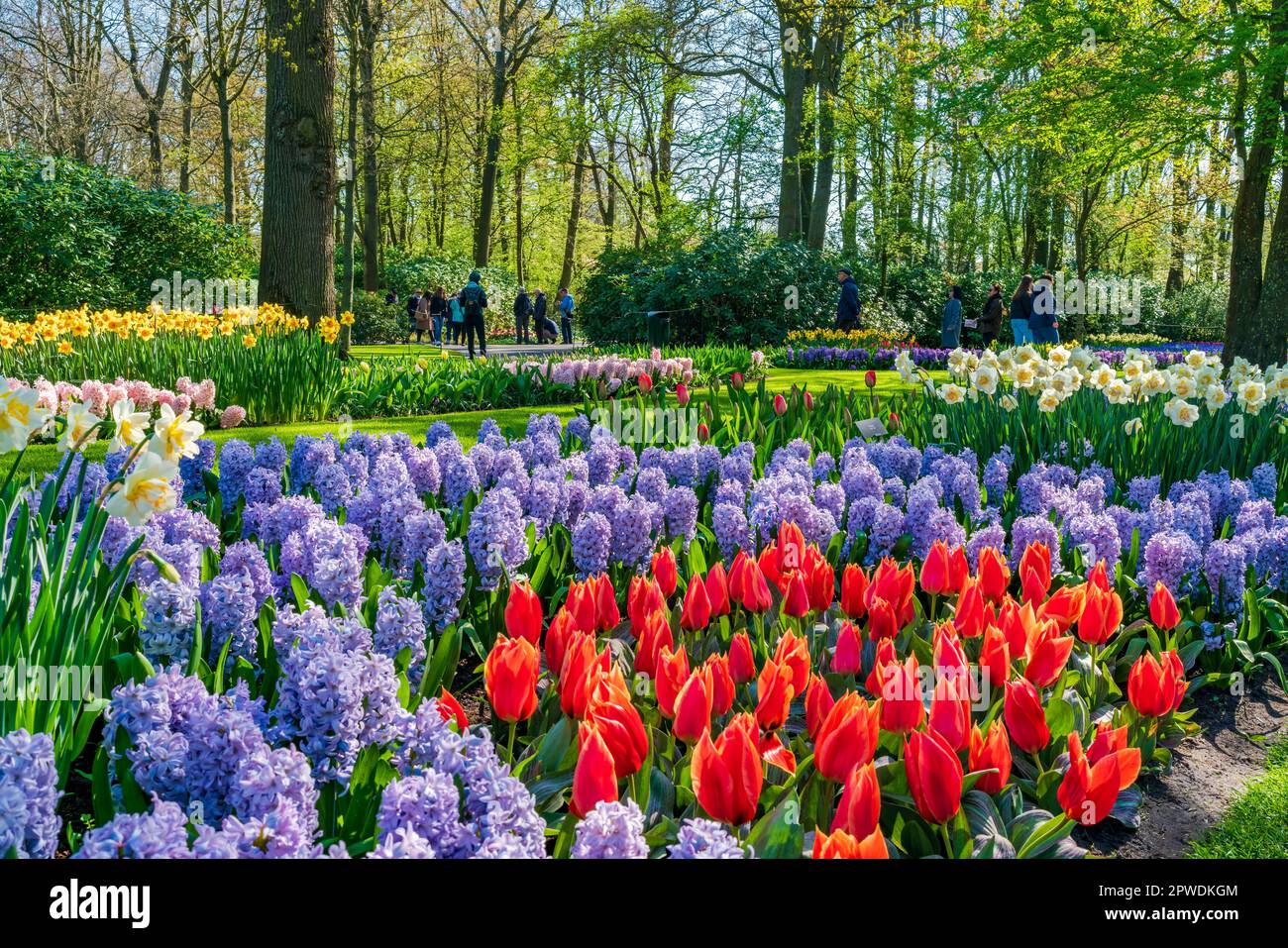 LISSE, HOLLAND APRIL 19, 2023 Keukenhof, also known as the Garden of