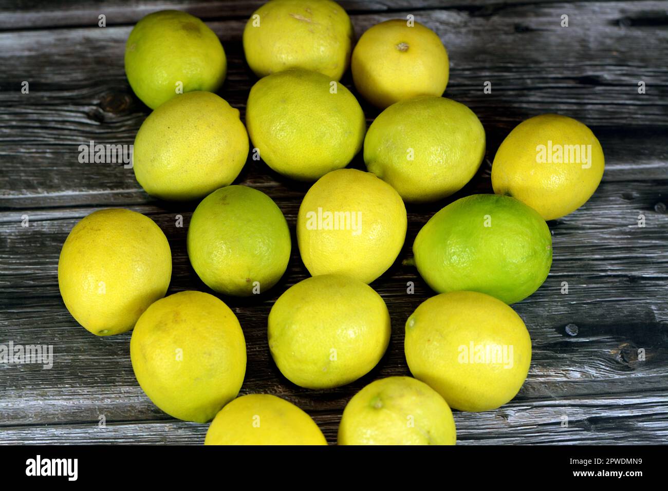 Pile of fresh lemons, The lemon (Citrus limon) is a species of small evergreen trees in the flowering plant family Rutaceae, native to Asia, used in r Stock Photo