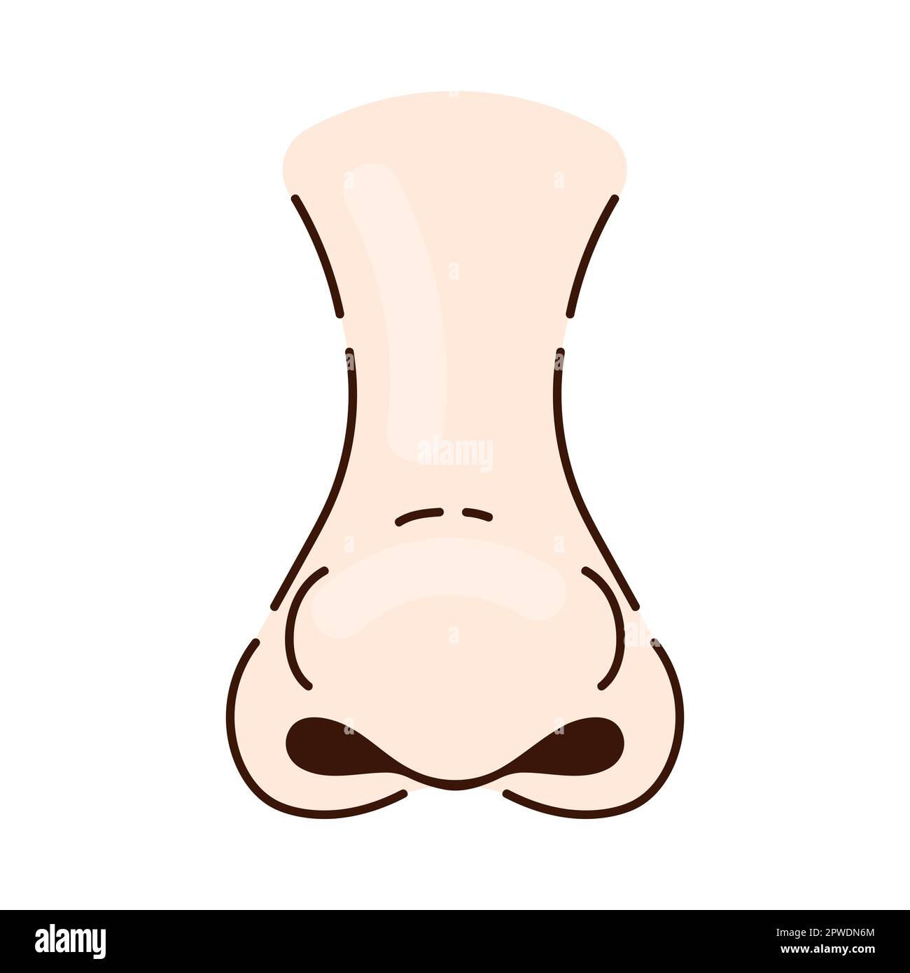 Nose of Caucasian person with round tip cartoon illustration Stock