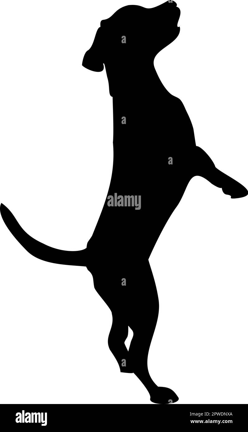 Vector dog standing on two legs Stock Vector