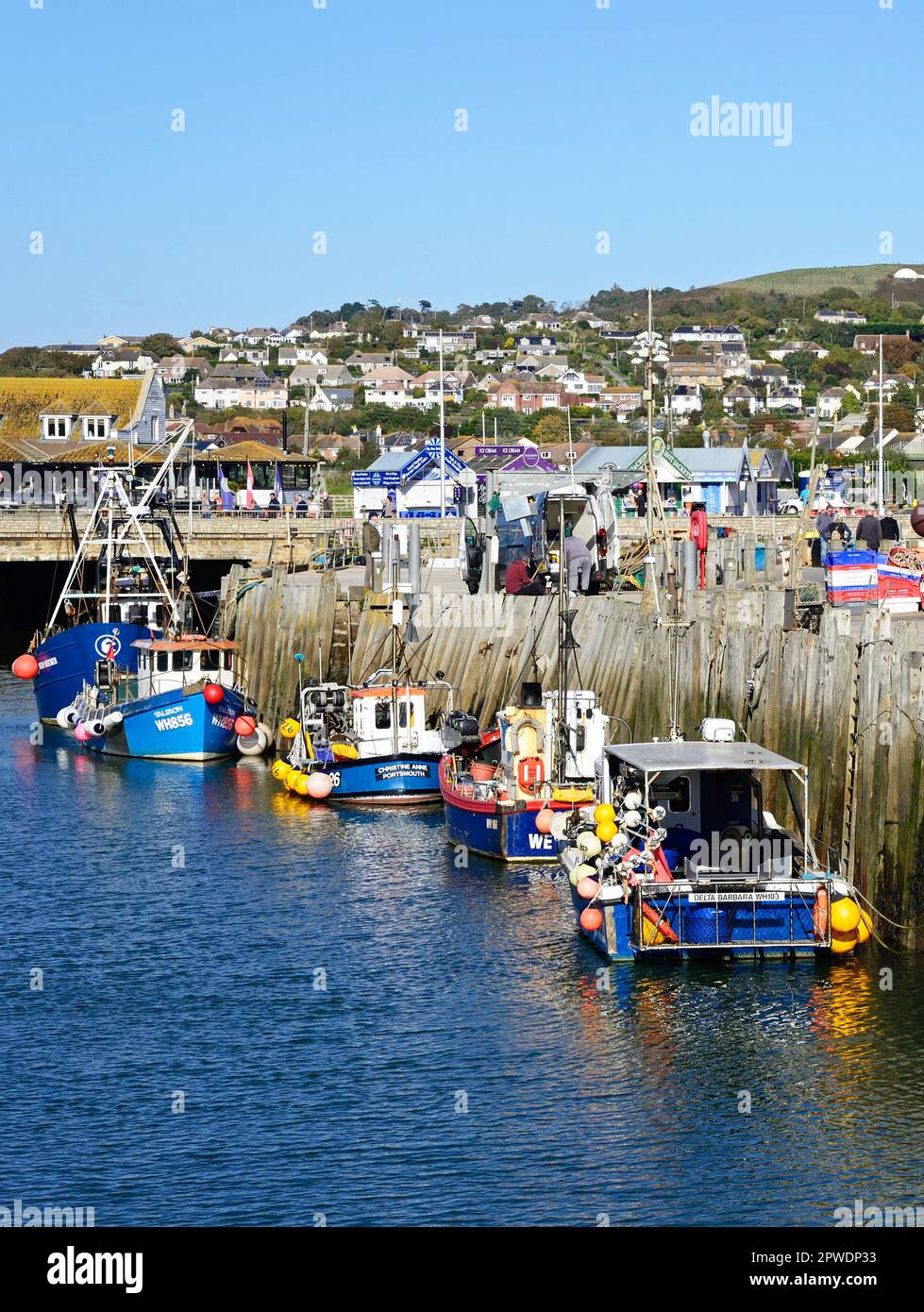 Fishing boats moored in the harbour with town buildings to the rear, West Bay, Dorset, UK, Europe. Stock Photo