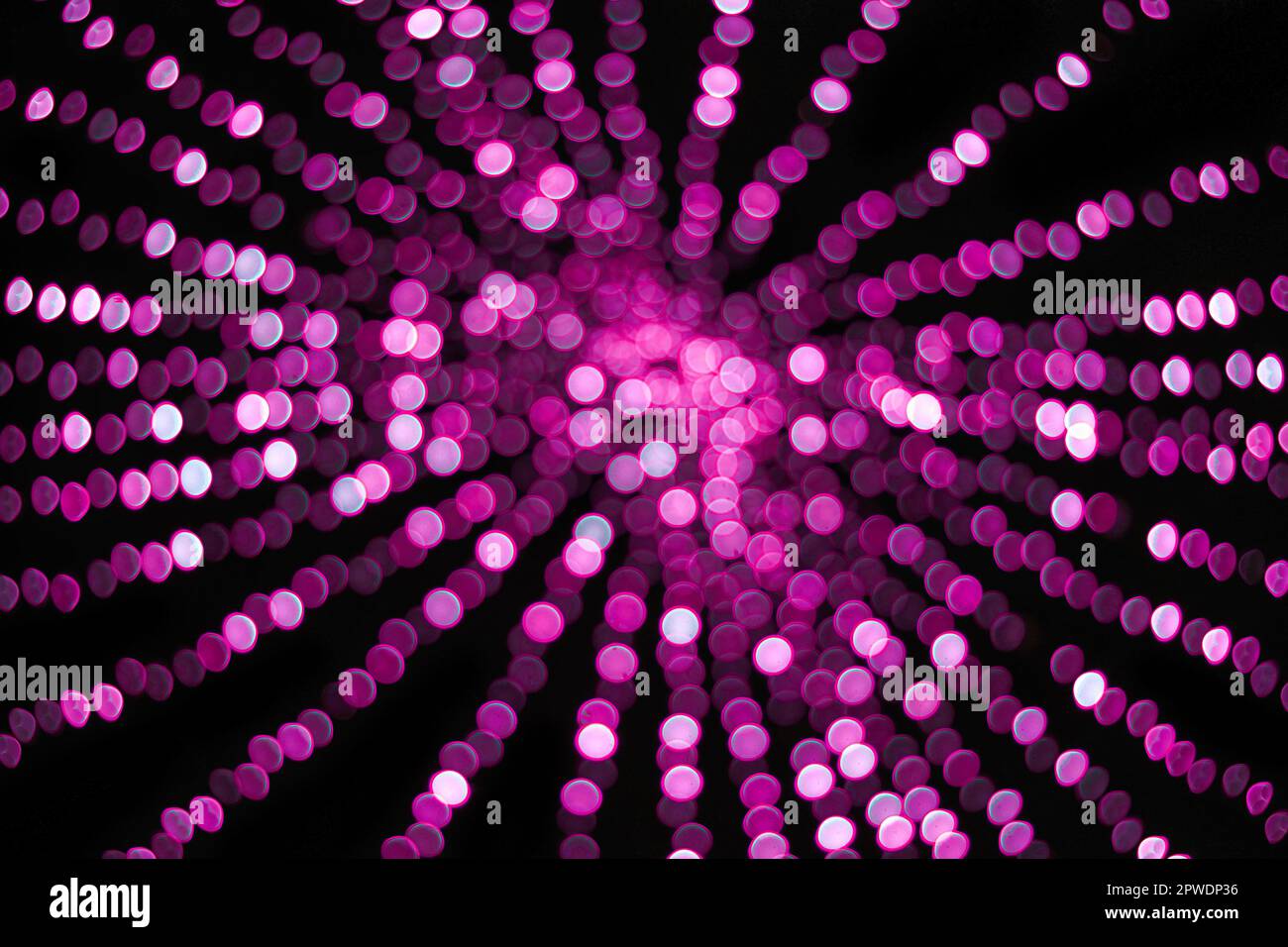 abstract pink-purple color Christmas lights, bokeh balls, and light bokeh out-of-focus lights texture on black background Stock Photo