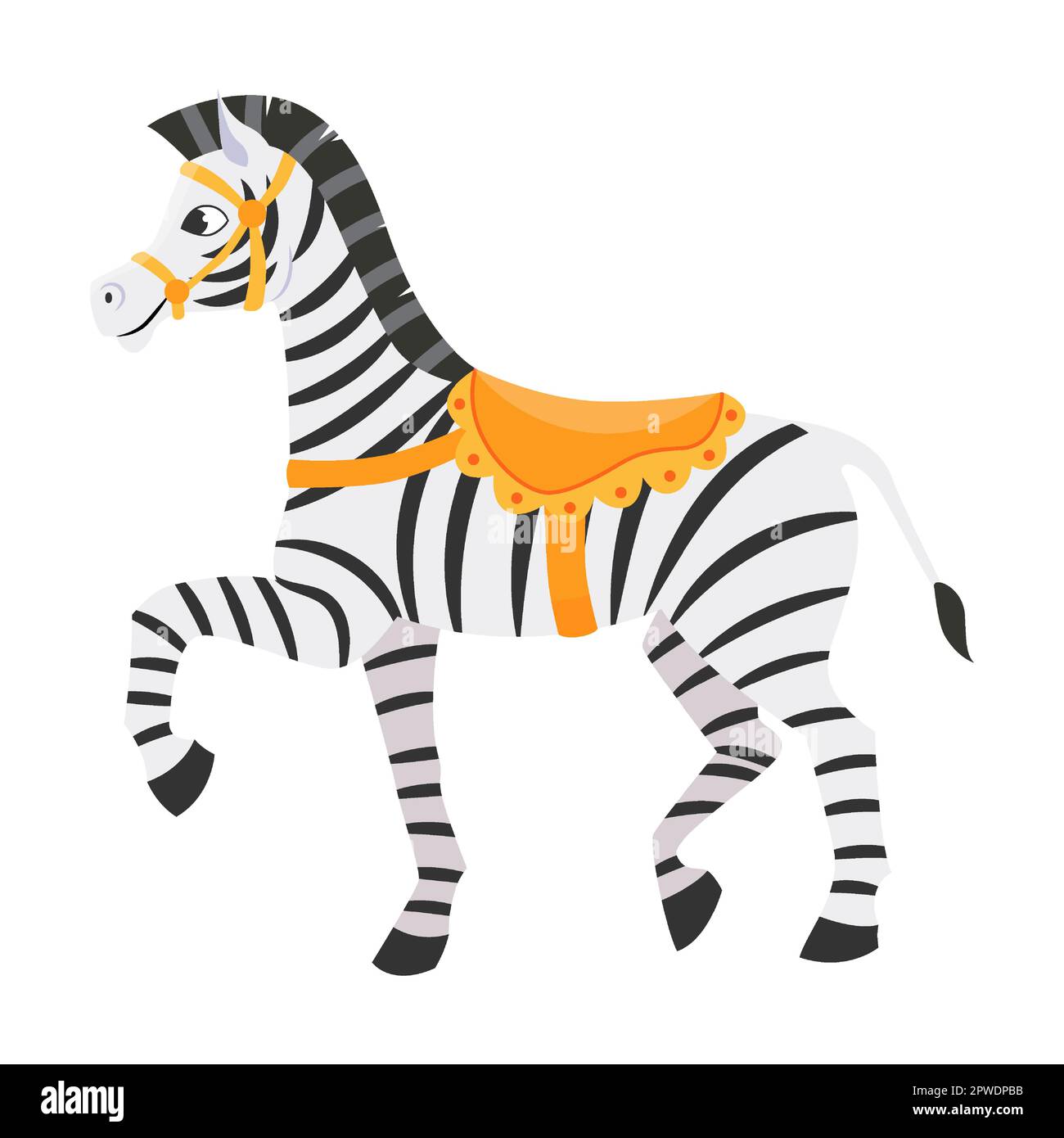 Funny riding zebra with saddle on circus show. Vector illustration of