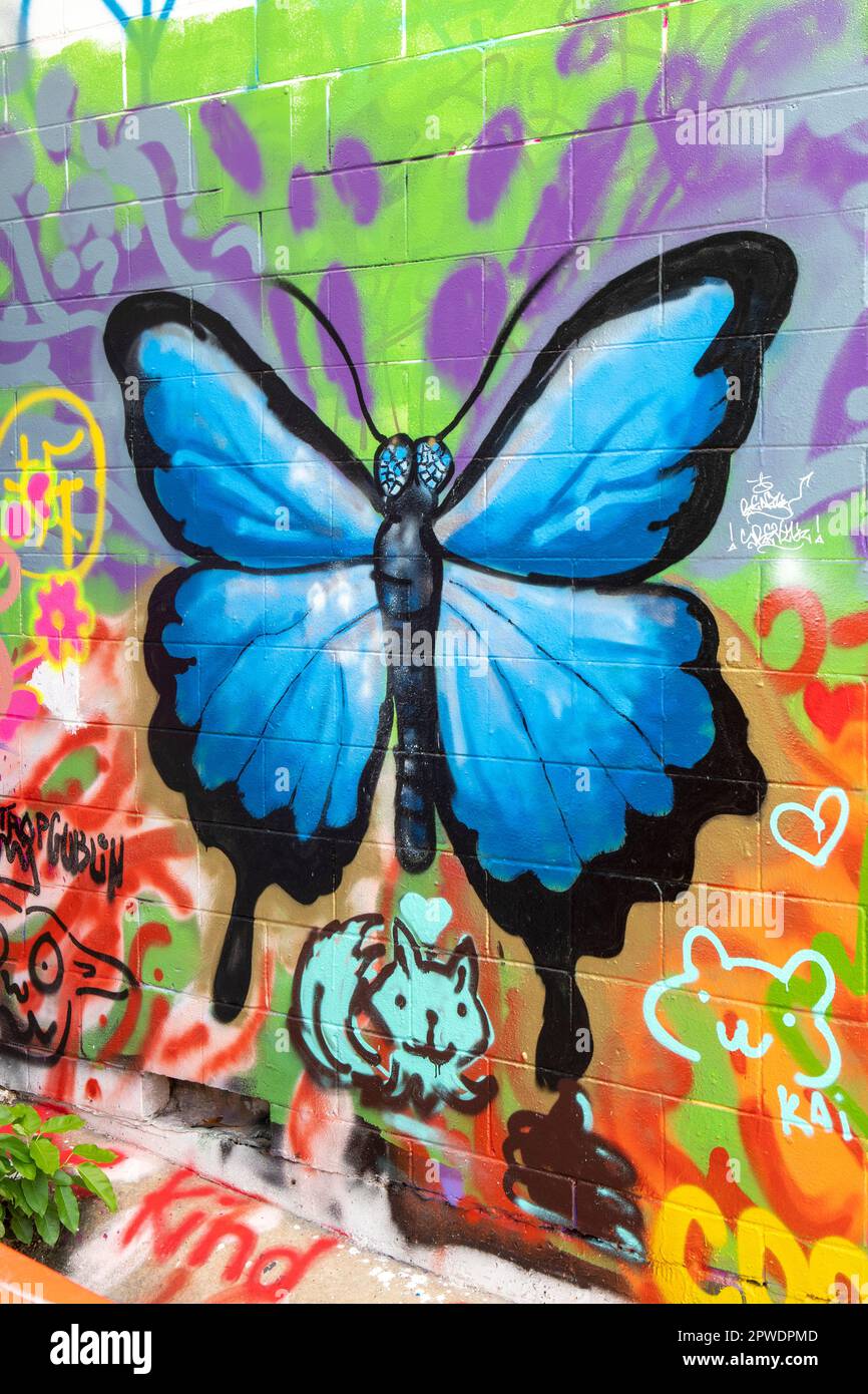 Blue Butterfly Street Art by Kai, Darwin, NT, Australia Stock Photo Alamy