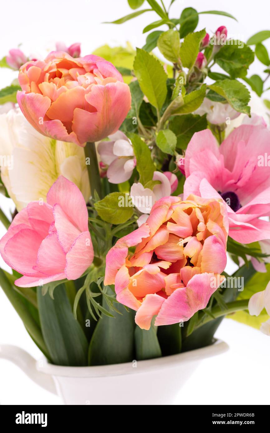 Elegant mixed pastel colored spring bouquet on white background close up. Spring tulips. Tulips bouquet. Stock Photo
