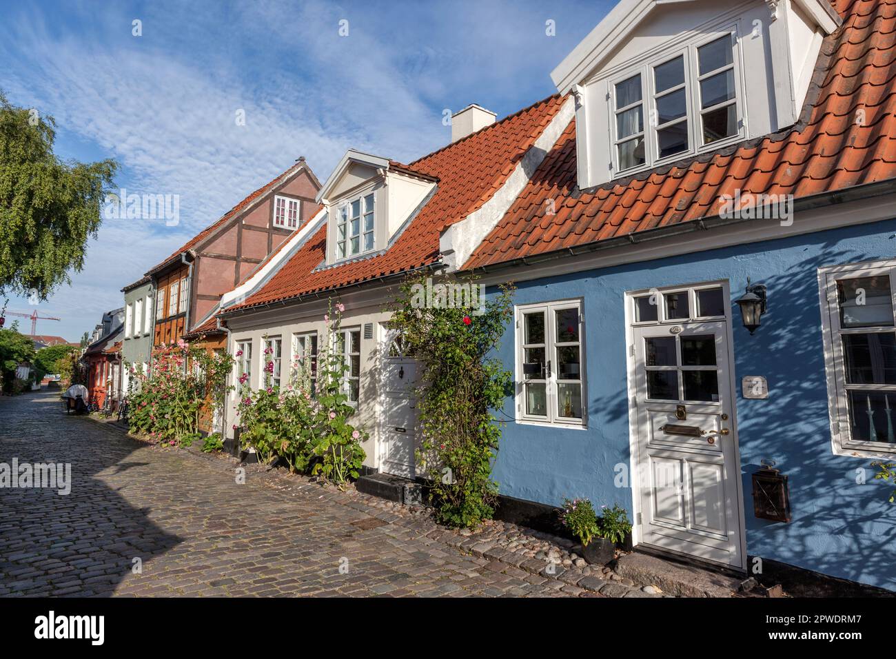 Historic, charming late 19th century houses in Mollestien, Indre By