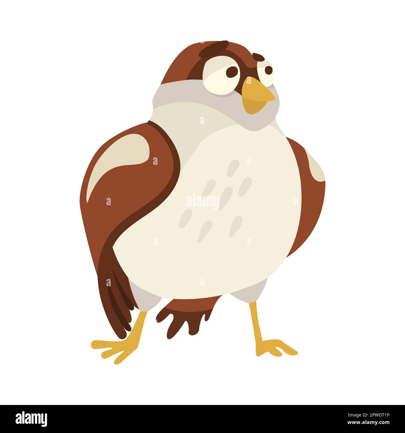 Scared sparrow standing cartoon illustration Stock Vector Image & Art