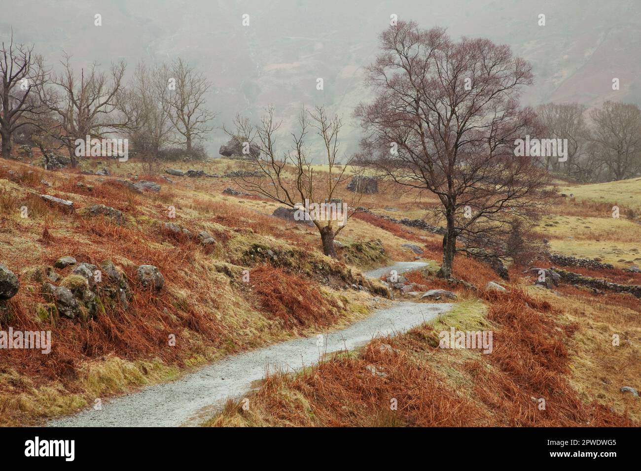 Footpath in the Great Langdale Valley in the English Lake Dsitrict Stock Photo