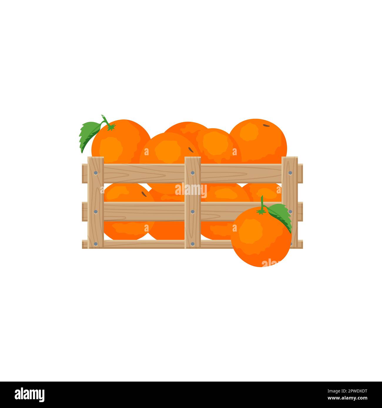 Oranges in wooden box vector illustration Stock Vector