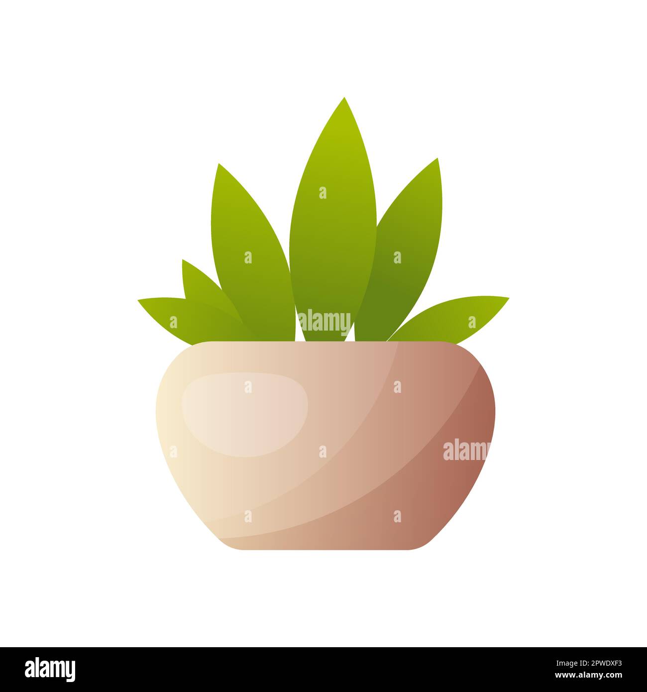 Potted plant with long leaves illustration Stock Vector
