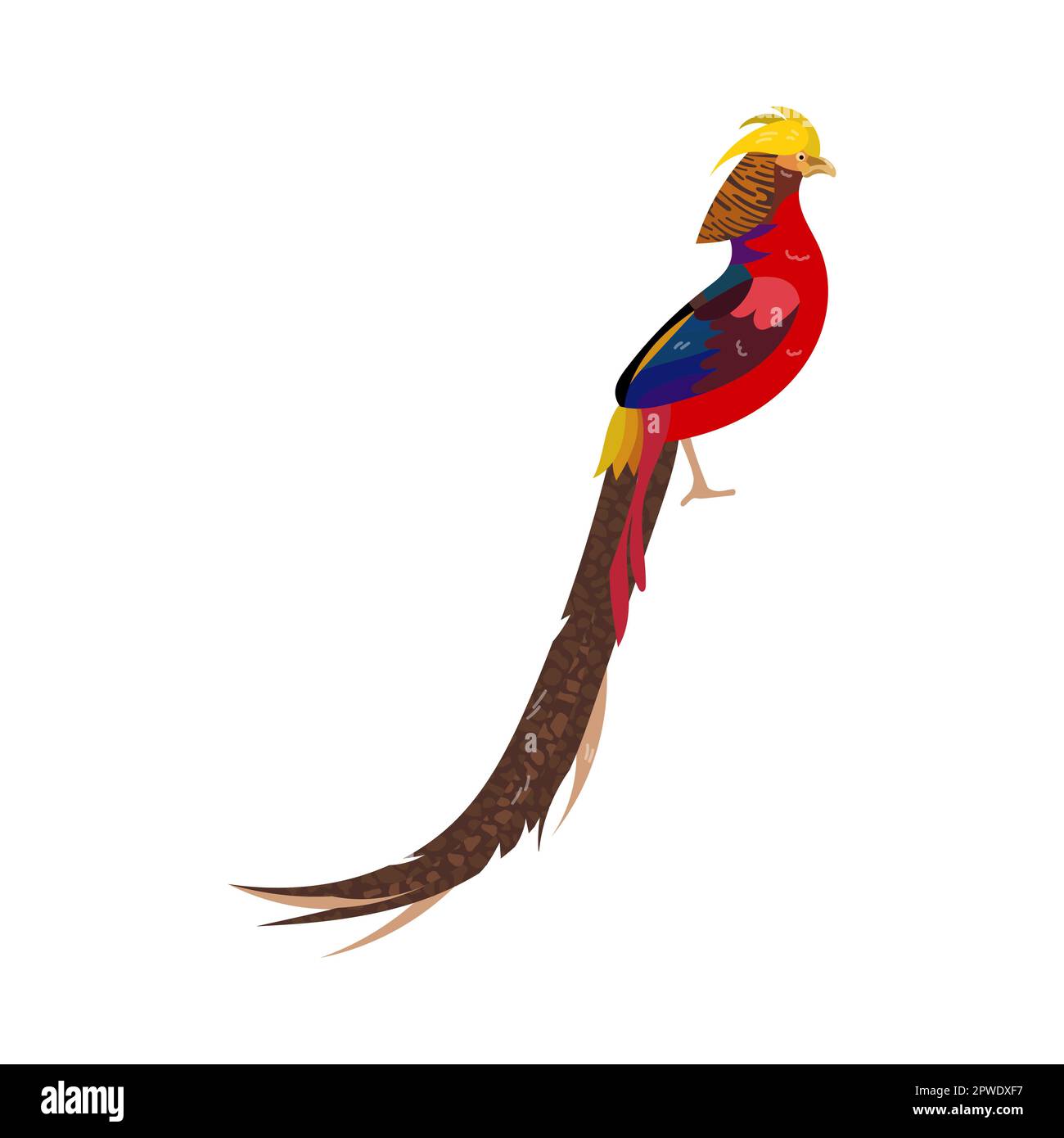 1,335 Pheasant Cartoon Images, Stock Photos, 3D objects, & Vectors